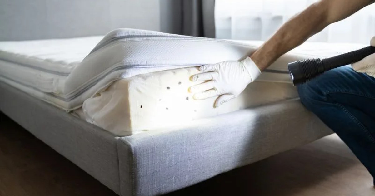 Bed bug inspection of a mattress and bedroom area