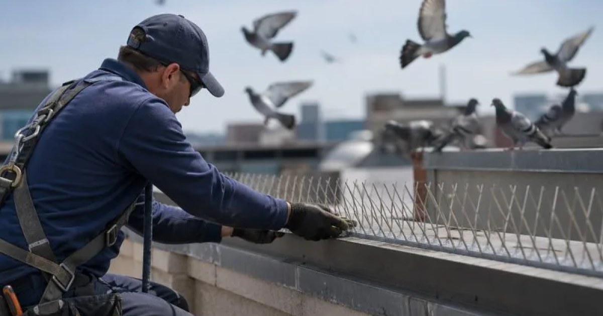 Edison Pest Control services