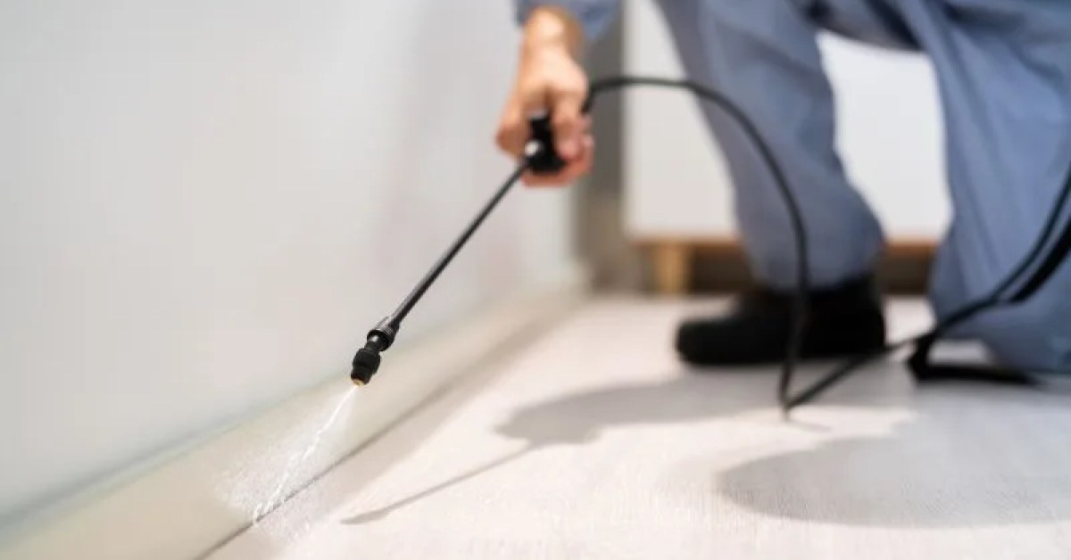 Pest control professional inspecting a property for signs of household pests